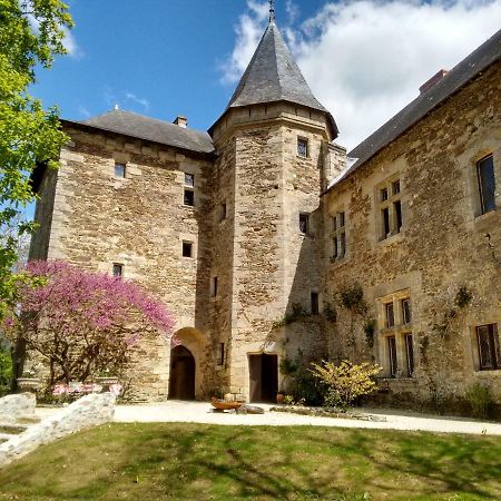 Chateau De Chanze Faye-d'Anjou Exterior photo